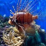 אטרקציות לילדים בלונדון אטרקציות לילדים בלונדון