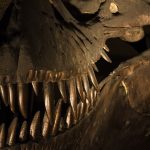 מוזיאון הטבע בלונדון (מוזיאון ההיסטוריה) - NATURAL HISTORY MUSEUM מוזיאון הטבע בלונדון (מוזיאון ההיסטוריה) - NATURAL HISTORY MUSEUM